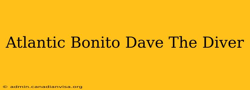 Atlantic Bonito Dave The Diver