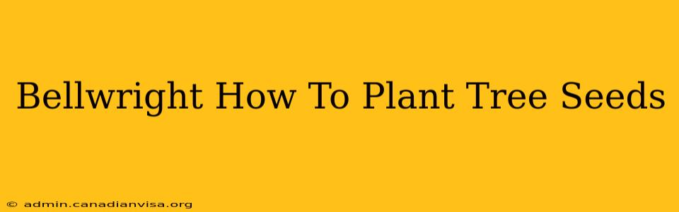 Bellwright How To Plant Tree Seeds