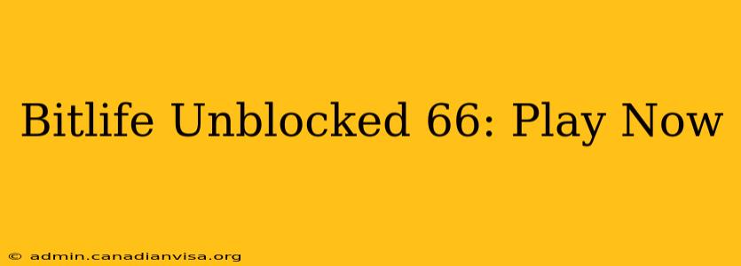 Bitlife Unblocked 66: Play Now