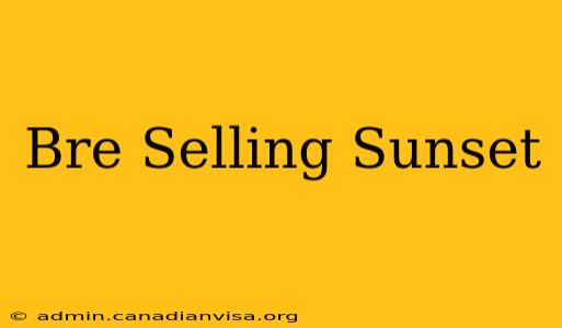 Bre Selling Sunset