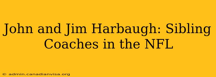 John and Jim Harbaugh: Sibling Coaches in the NFL