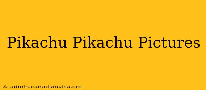 Pikachu Pikachu Pictures