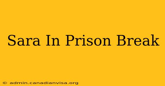 Sara In Prison Break